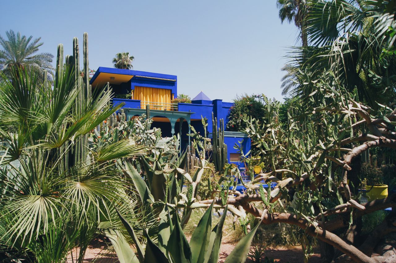 jardin majorelle